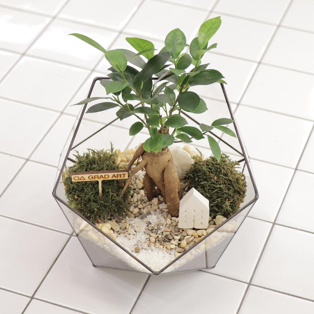 Икосаэдр M (25х20см)