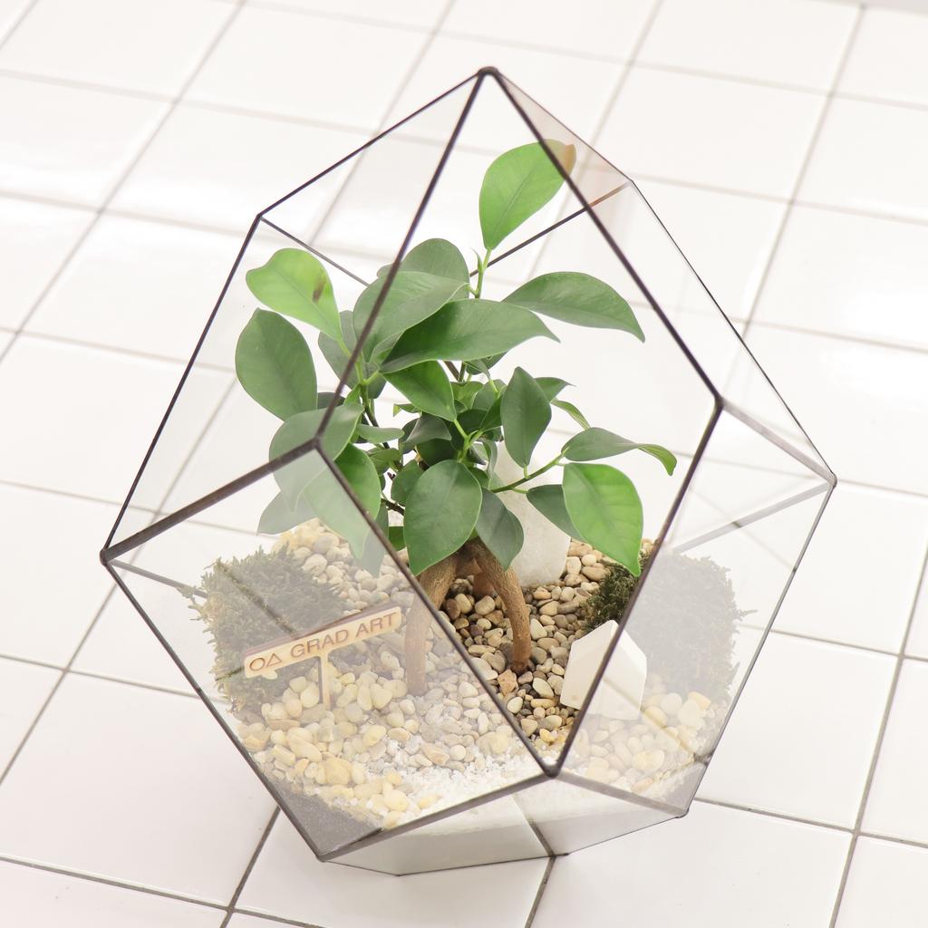 Кристалл S (30х25см)