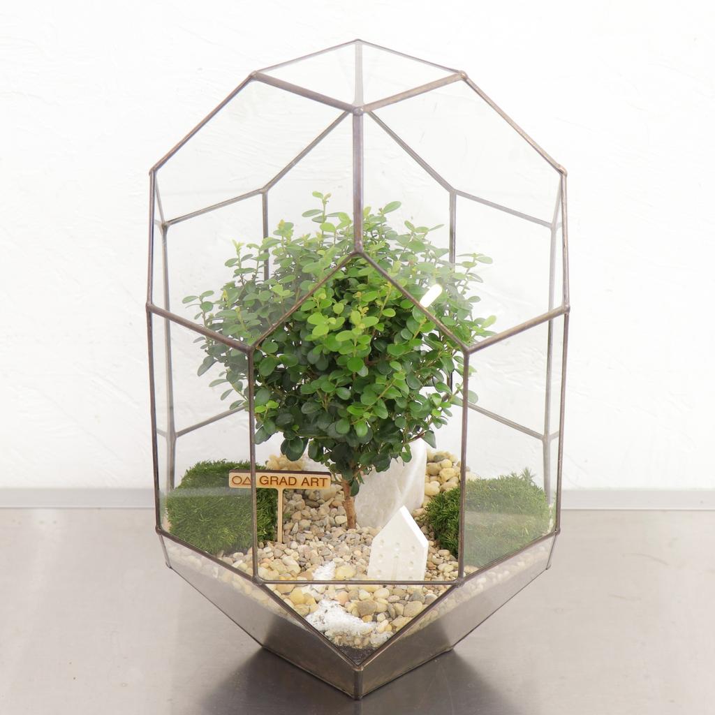 Прометей М (35х21см)