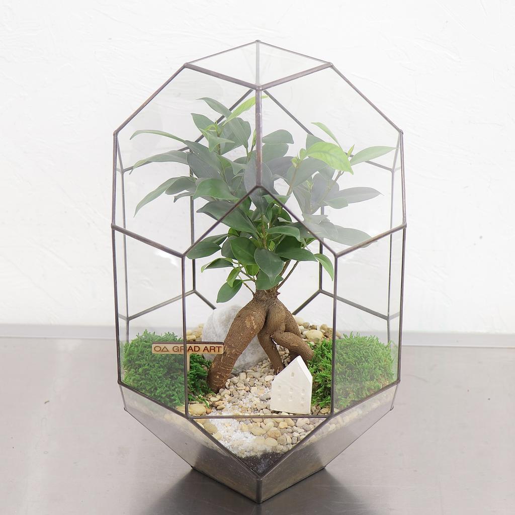 Прометей М (35х21см)