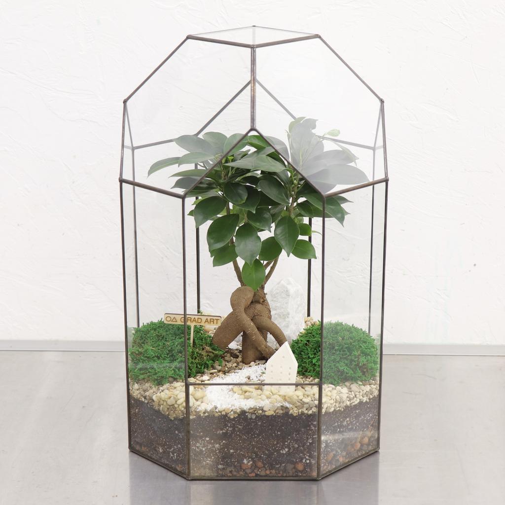 Болид L (40х25см)