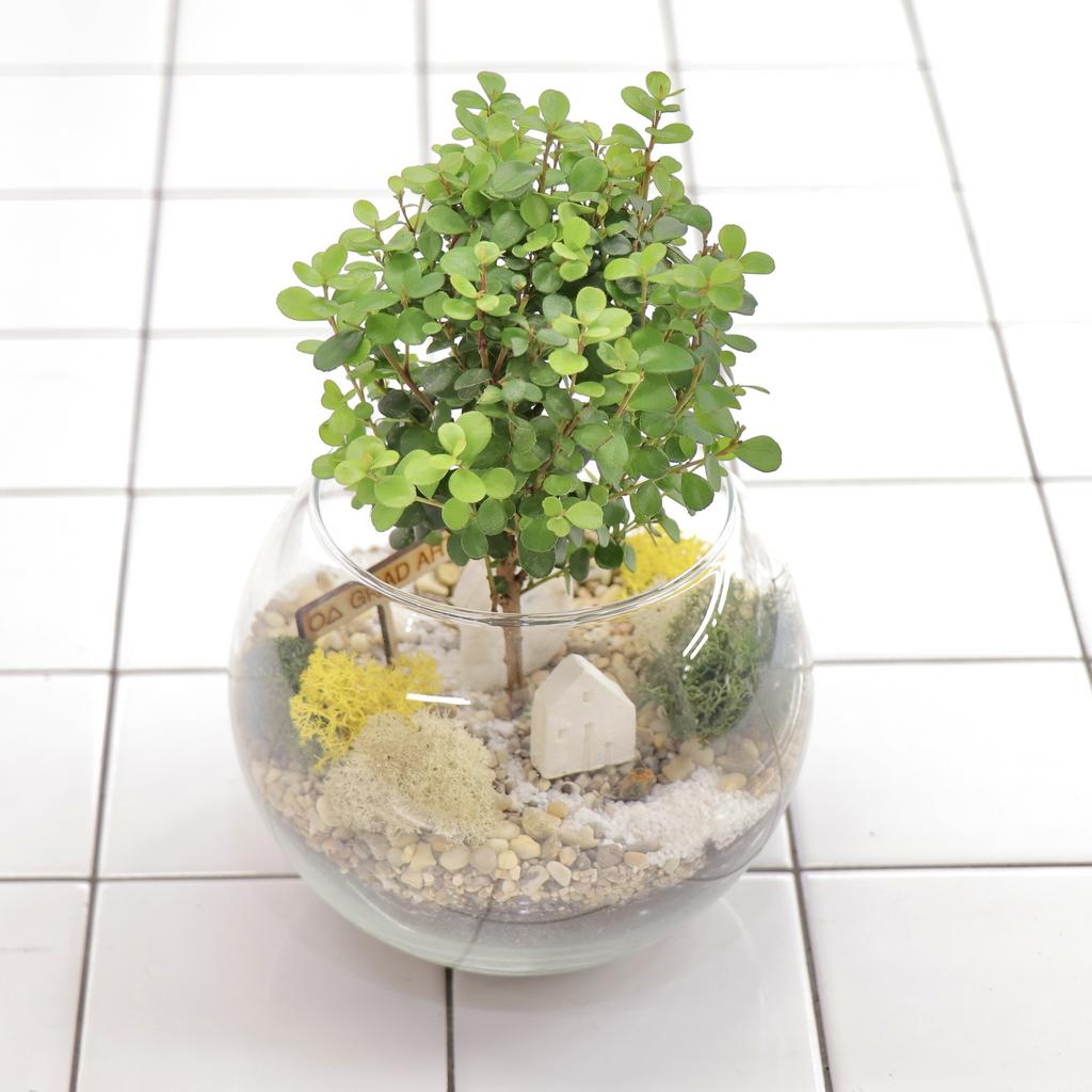 Шар S (28х16см)