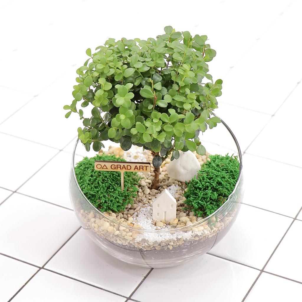 Полусфера S (28х18см)