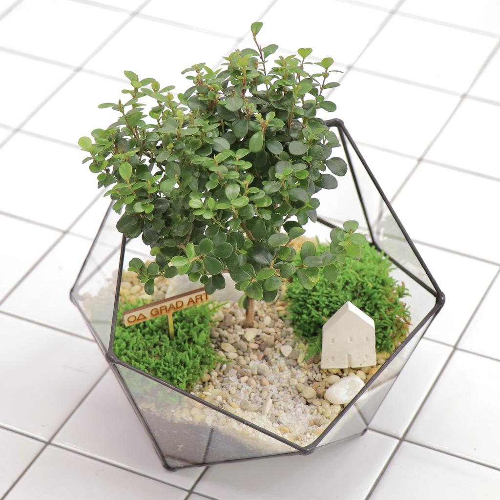 Икосаэдр M (25х20см)