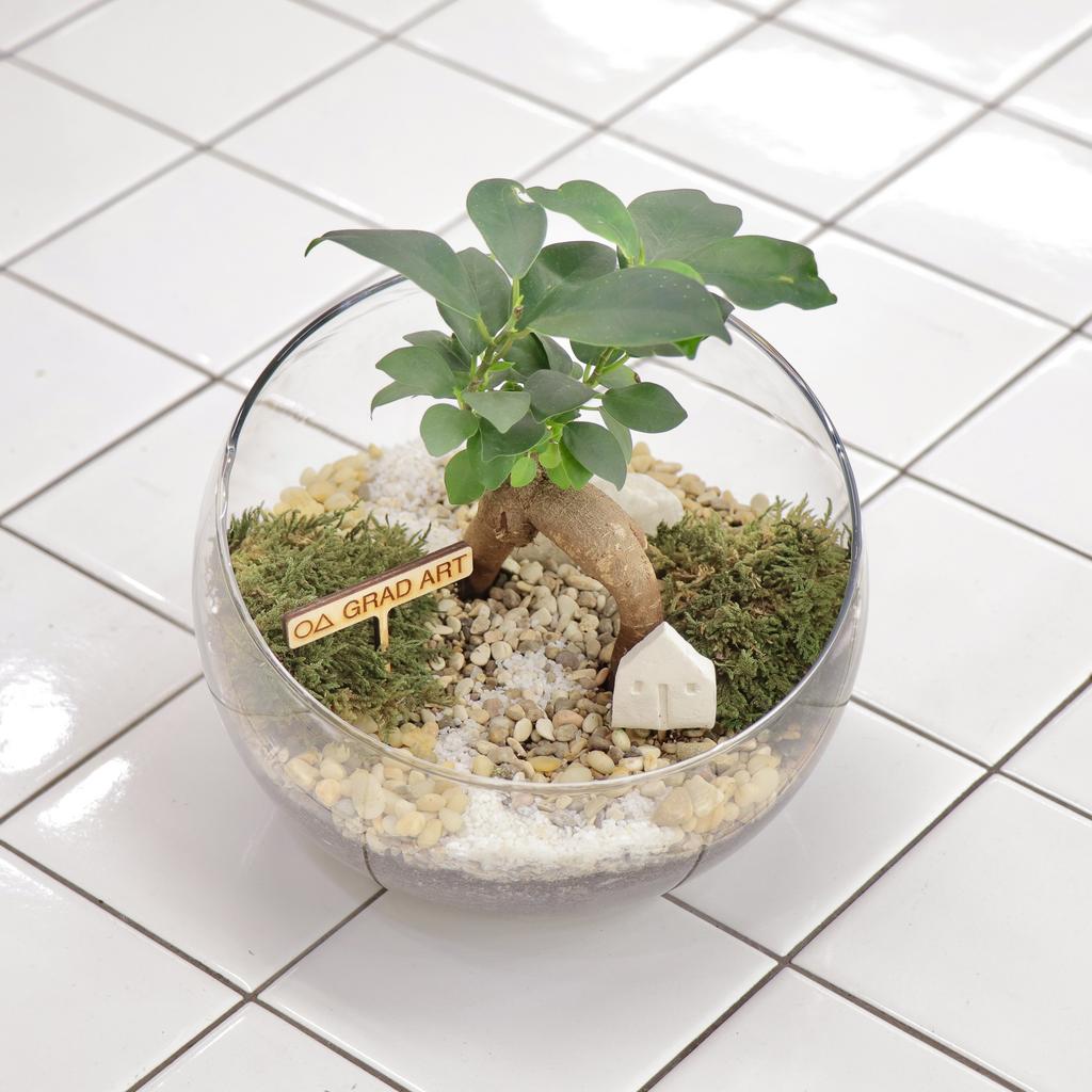 Полусфера S (20х18см)