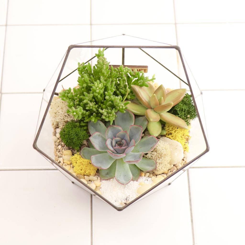 Икосаэдр S (16х16см)