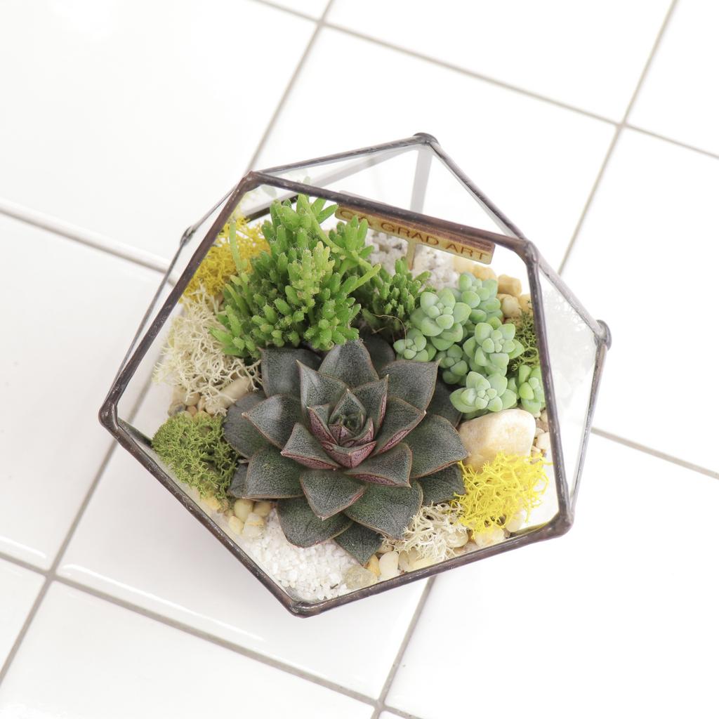 Икосаэдр XS (12х12см)