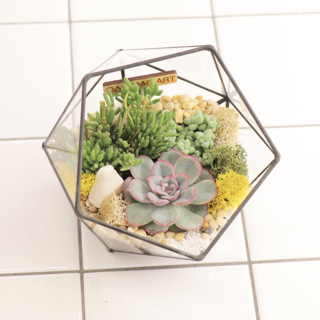 Икосаэдр XS (12х12см)