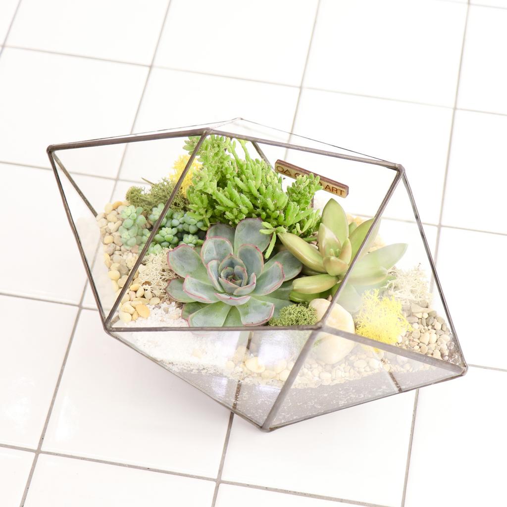 Ракета S (17х28см)