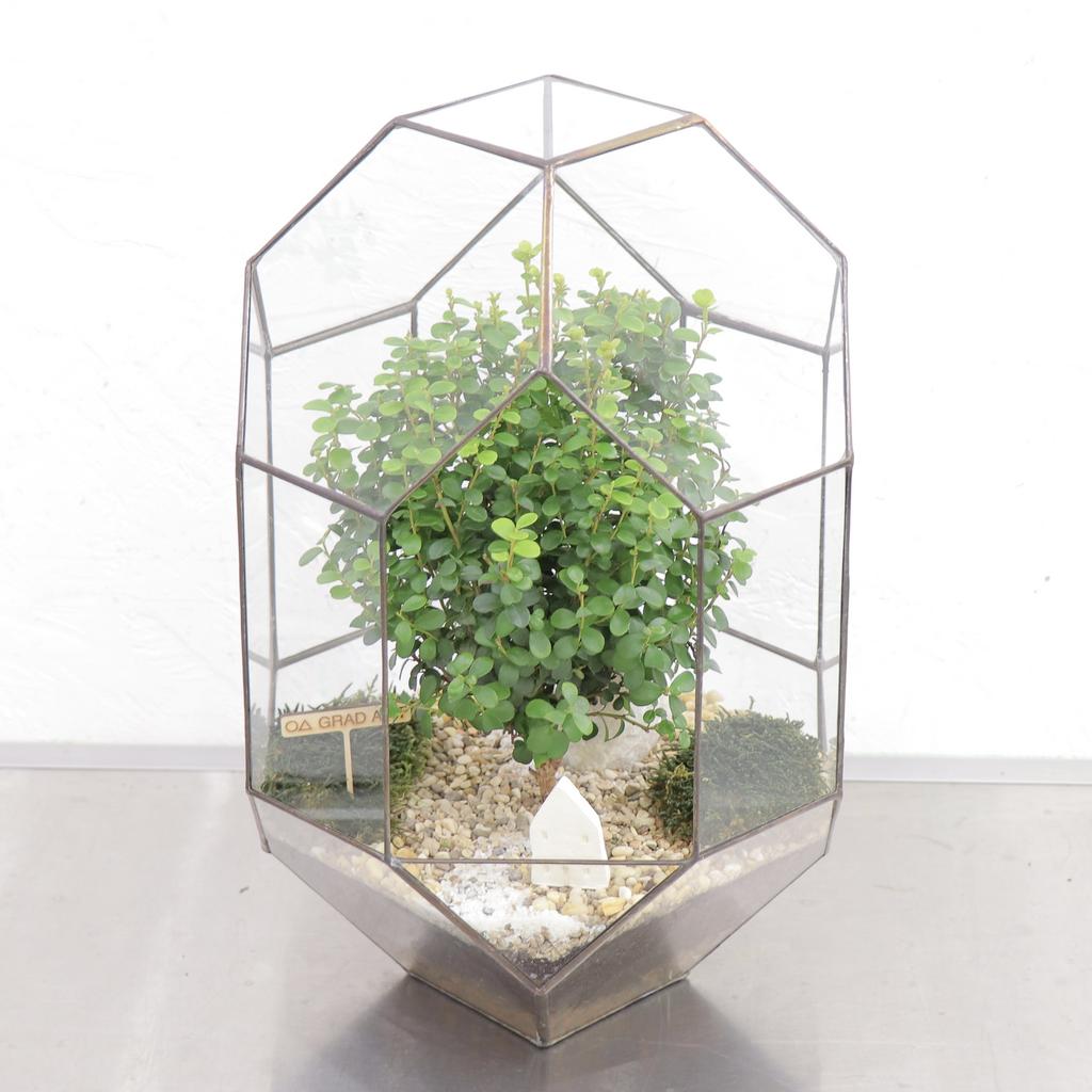 Прометей L (40х25см)