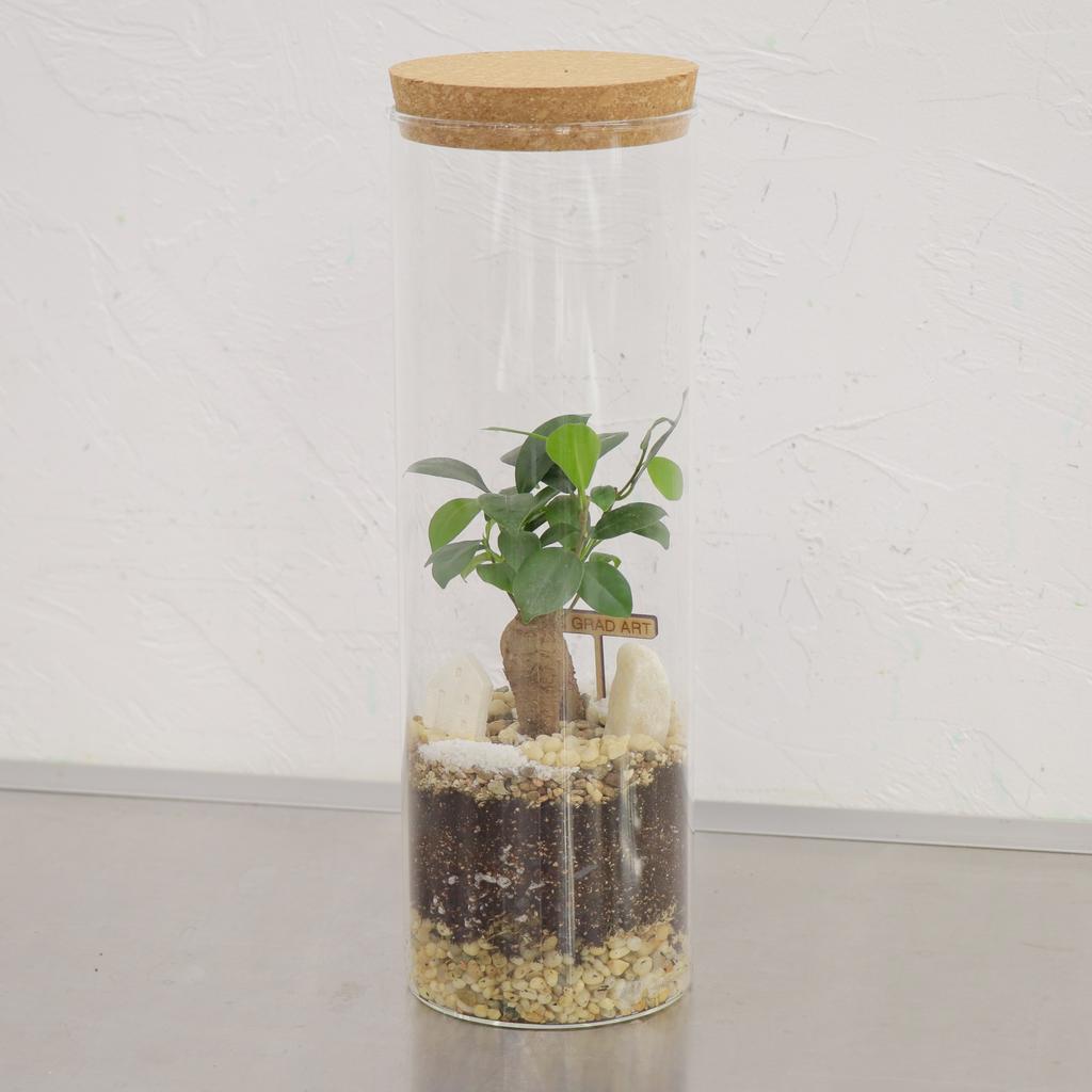 Экосистема S (30х10см)