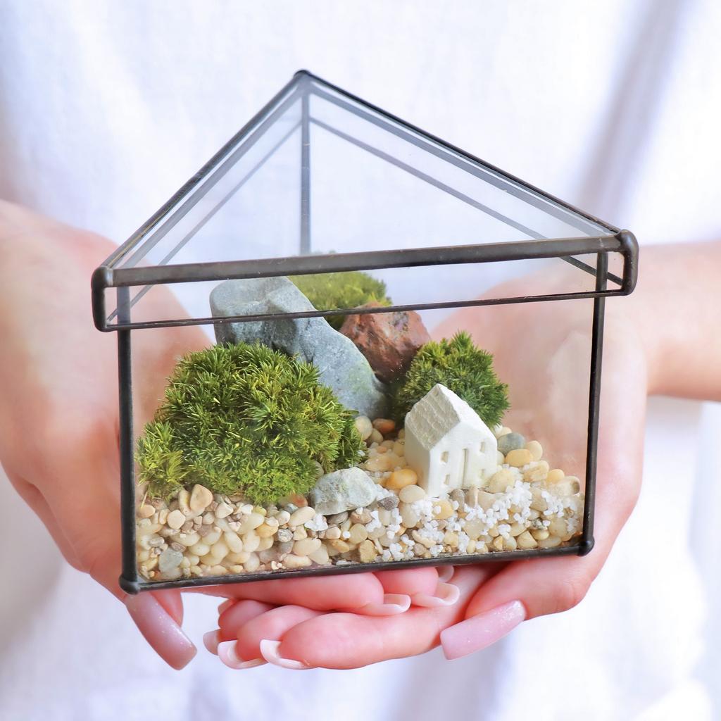 Экосистема Треугольник S (12х10см)