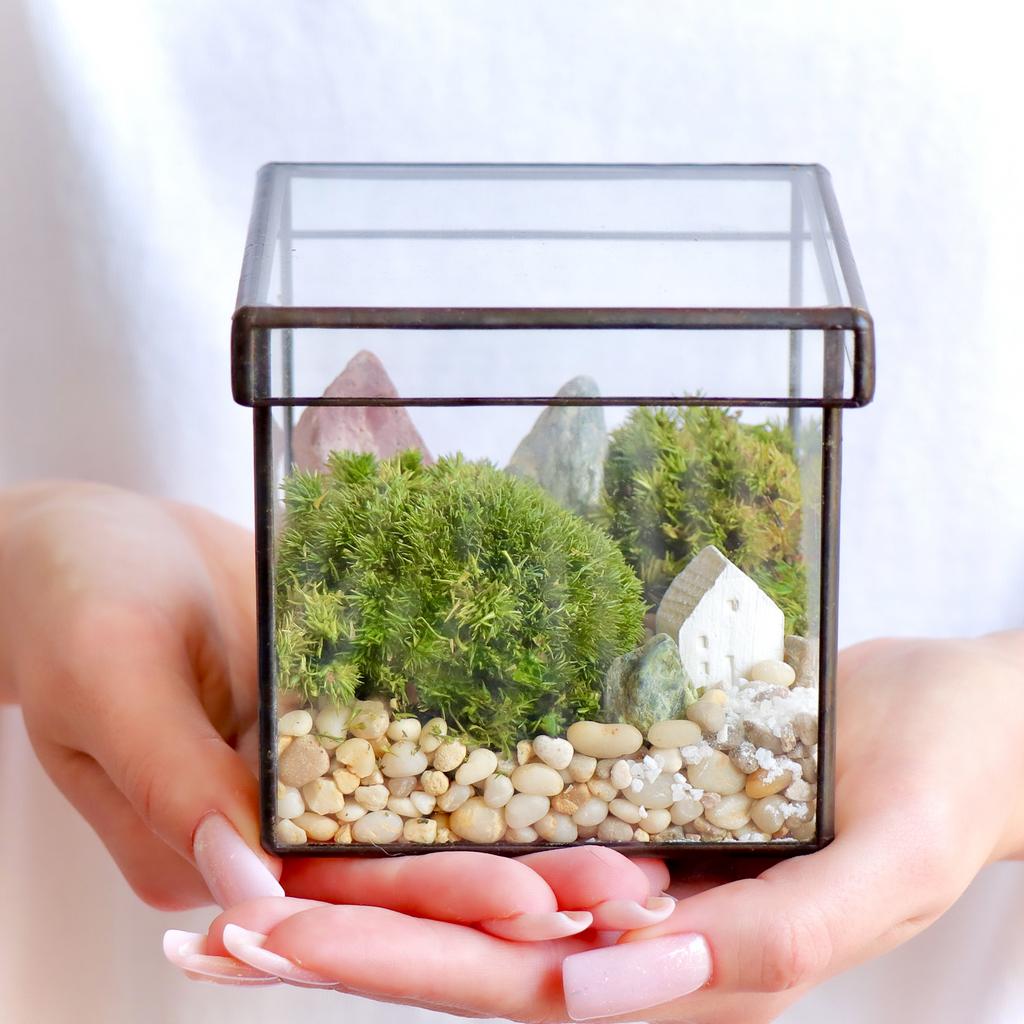 Экосистема Квадрат S (10х10см)