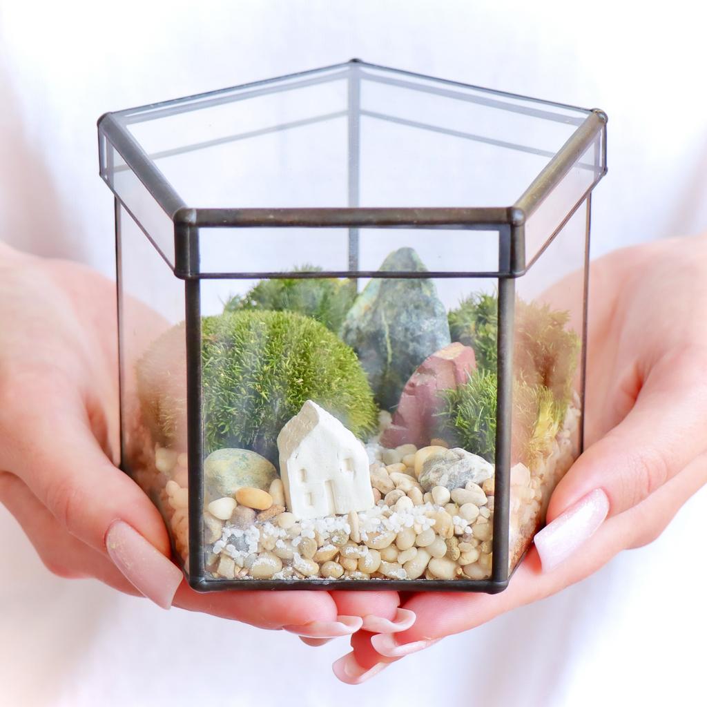 Экосистема Пятиугольник S (11х10см)