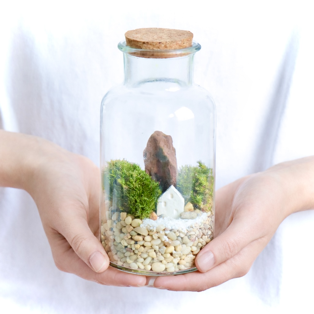 Экосистема Колба S (13х7см)