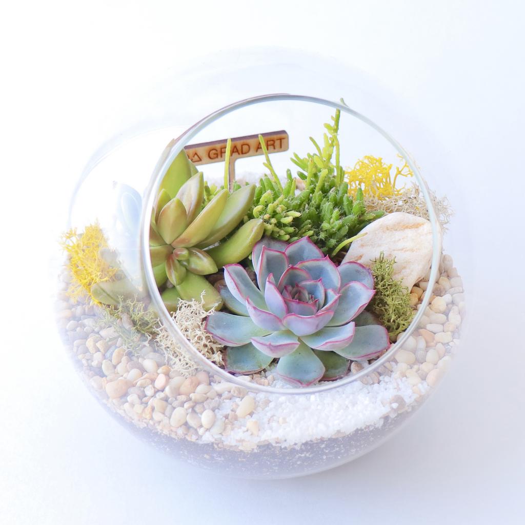 Сфера M (15х15см)