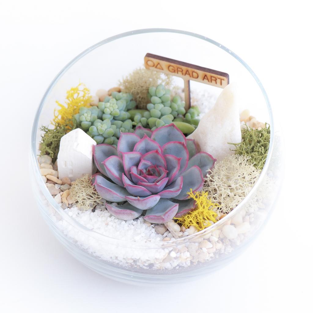 Полусфера S (12х12см)