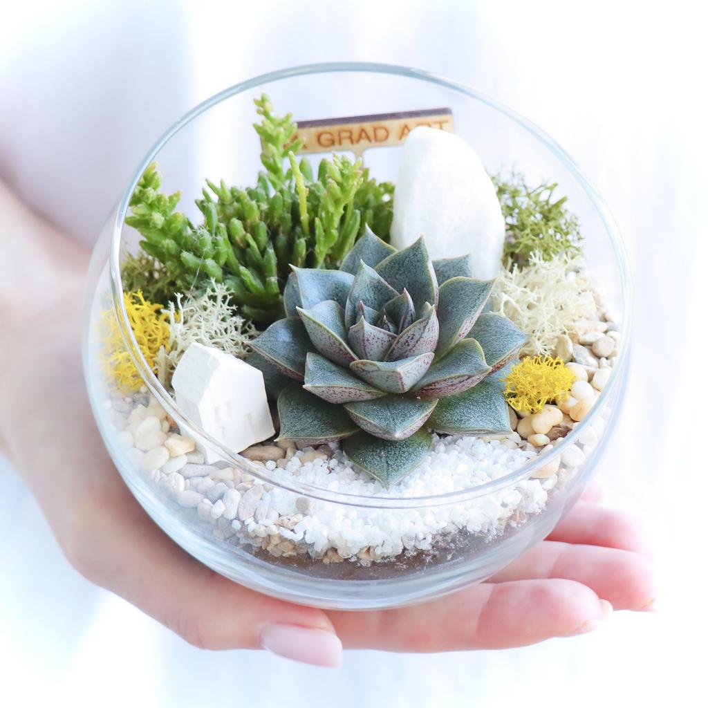 Полусфера S (12х12см)