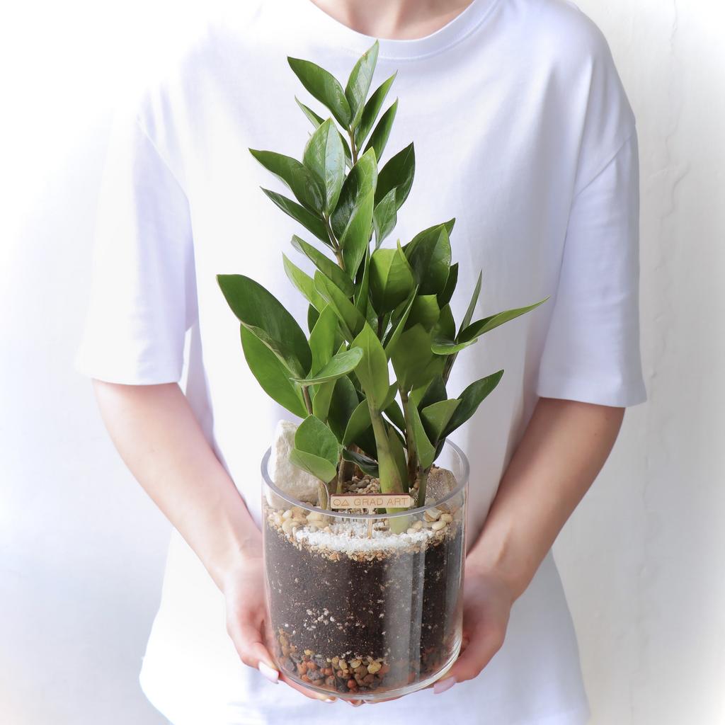 Цилиндр L (35х15см)