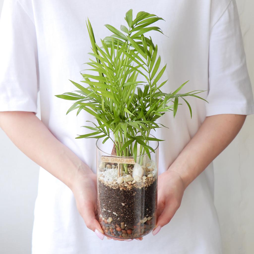 Цилиндр S (28х10см)