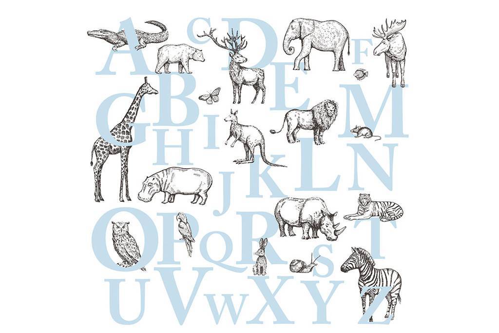 Обои-азбука Animals