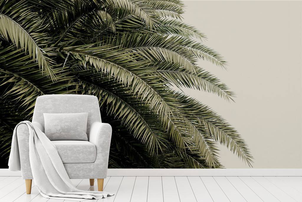 Обои "Листья пальмы"