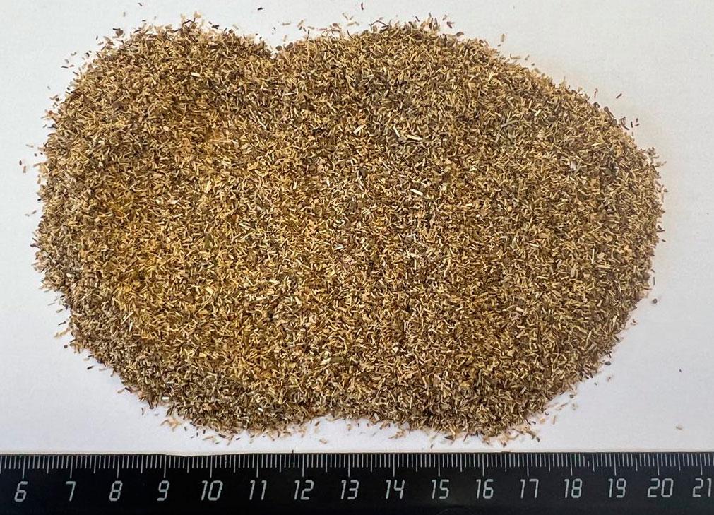 Ромашка TBC, Польша (Мартин Бауер)