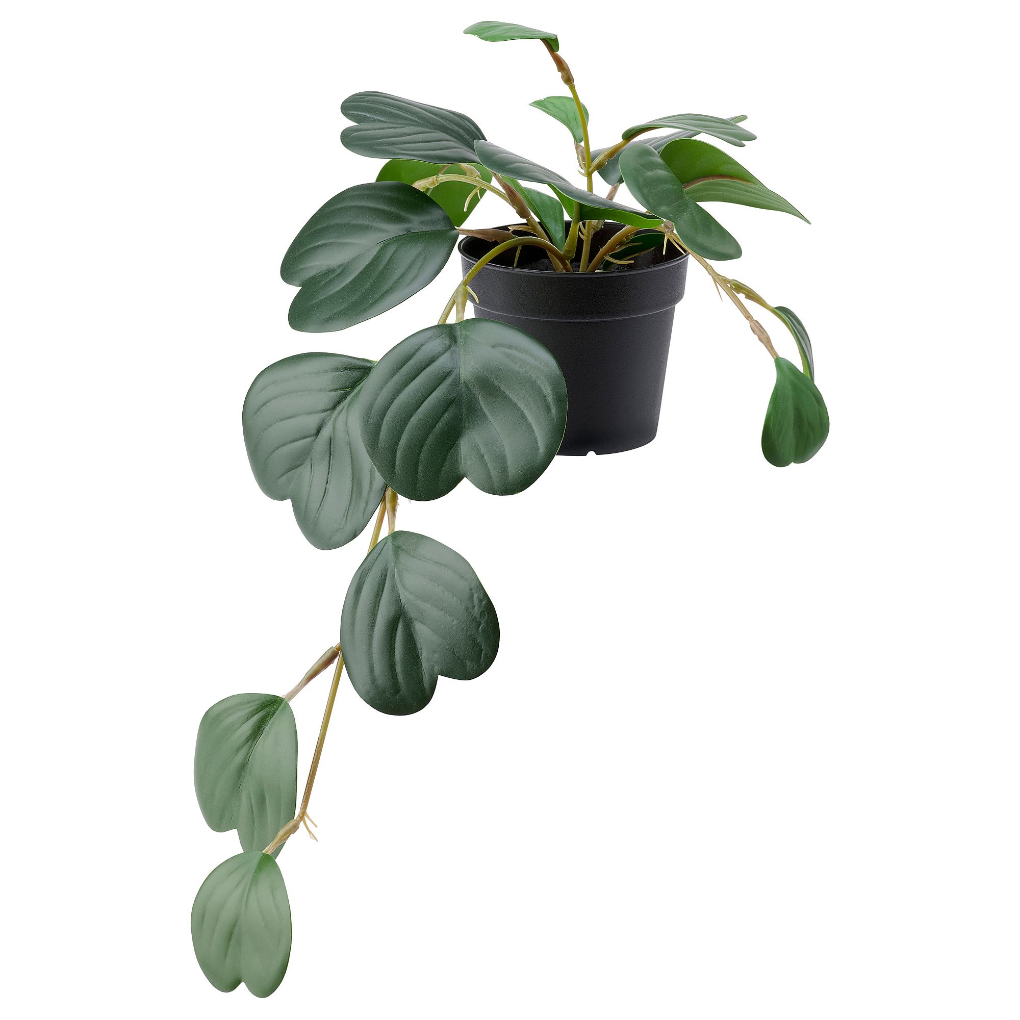 FEJKA IKEA Süni bitki, yaşıl/peperomia, 9 sm (MƏHSUL SATIŞDA MÖVCUD DEYİL)