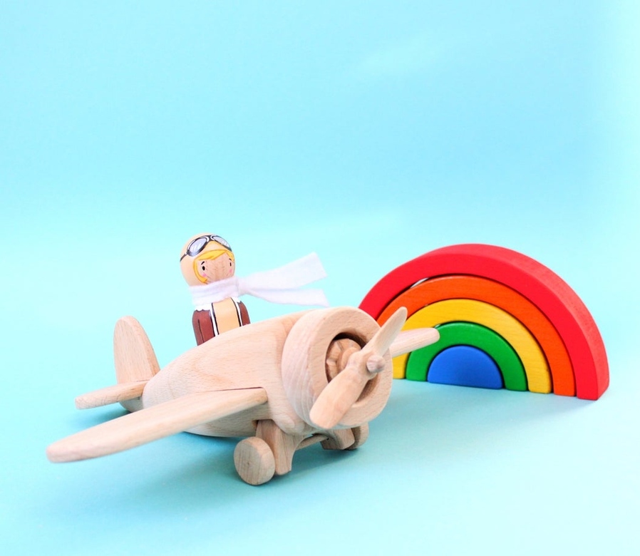 Амелия Эрхарт и самолет