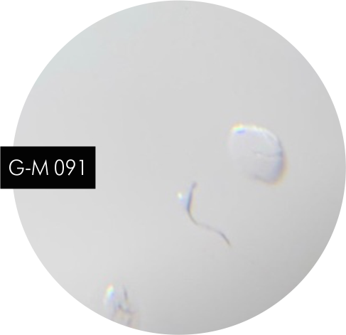 GEL - MOUSSE  091 gel paint with a sticky layer  гель-краска мусс с липким слоем  5 гр