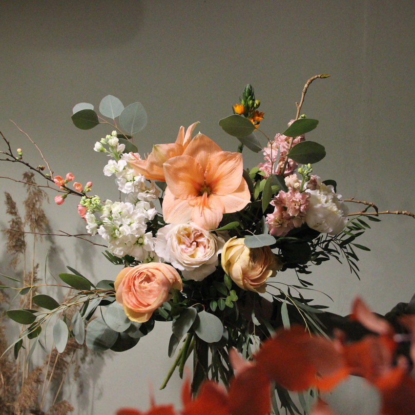 амариллис ранункулюс маттиола вид 4