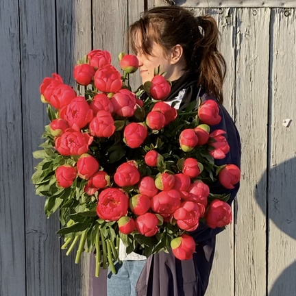 букет с пионами корал шарм вид 4