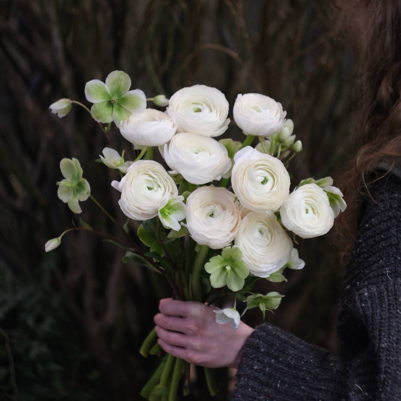 Ранункулюсы и морозник