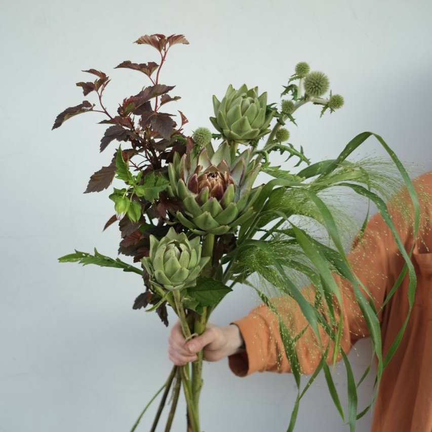 Артишок, колючки и травы