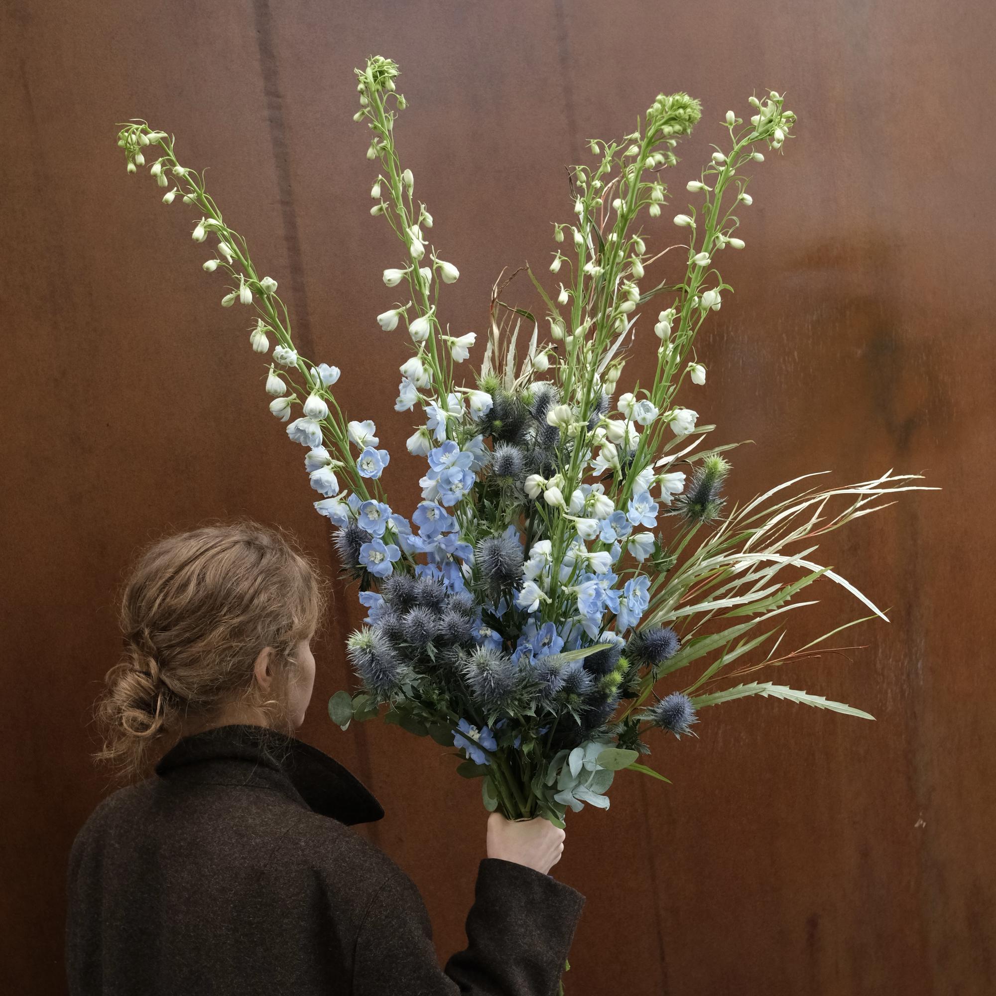 Дельфиниум и колкости