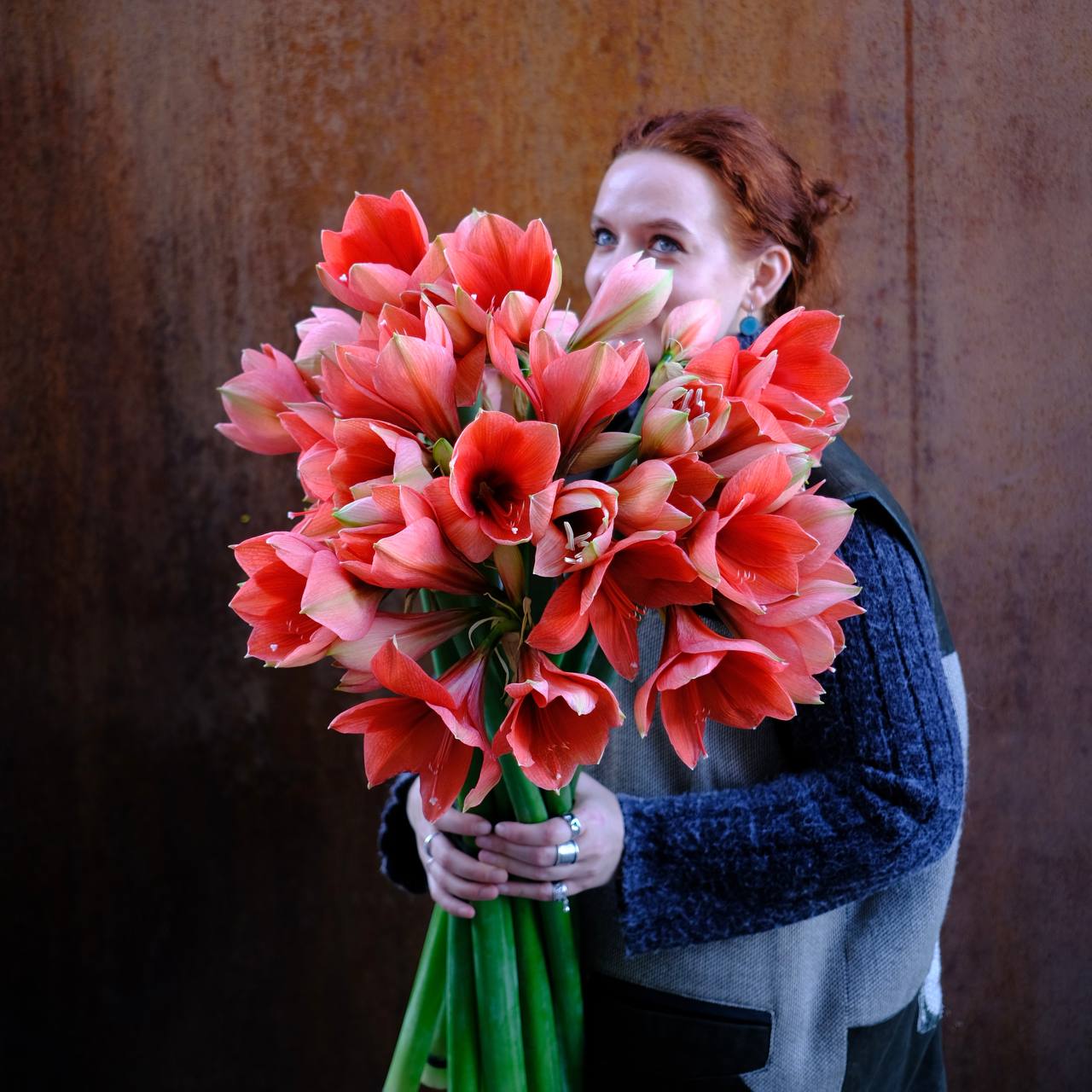 Морковные амариллисы