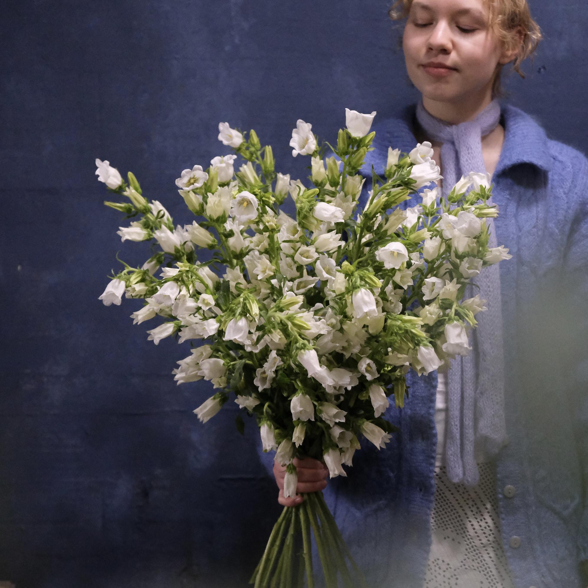 Большой букет белых колокольчиков