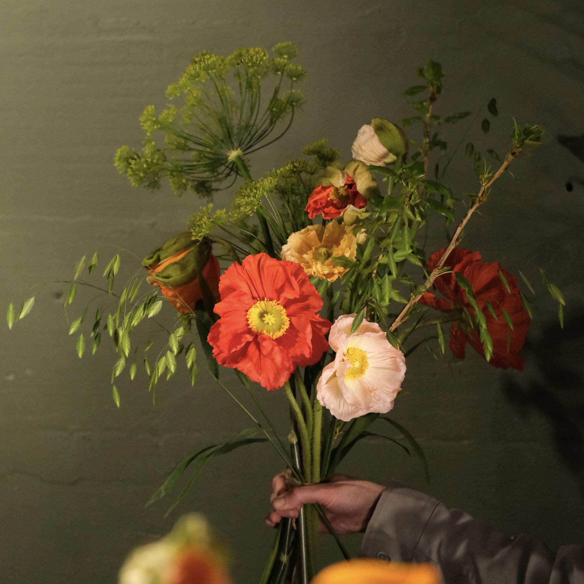 Маки, укроп и тополь