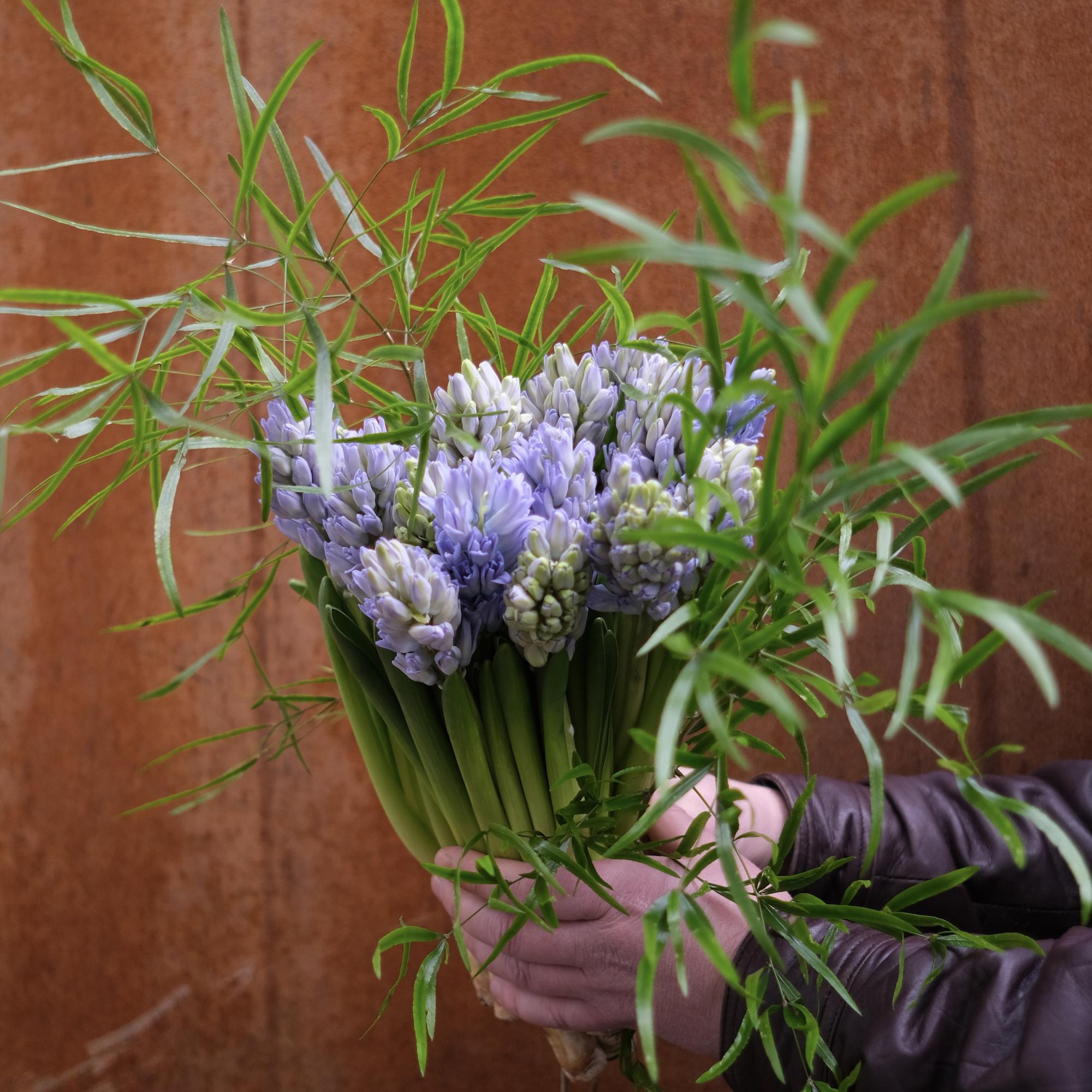 Гиацинты и спаржа