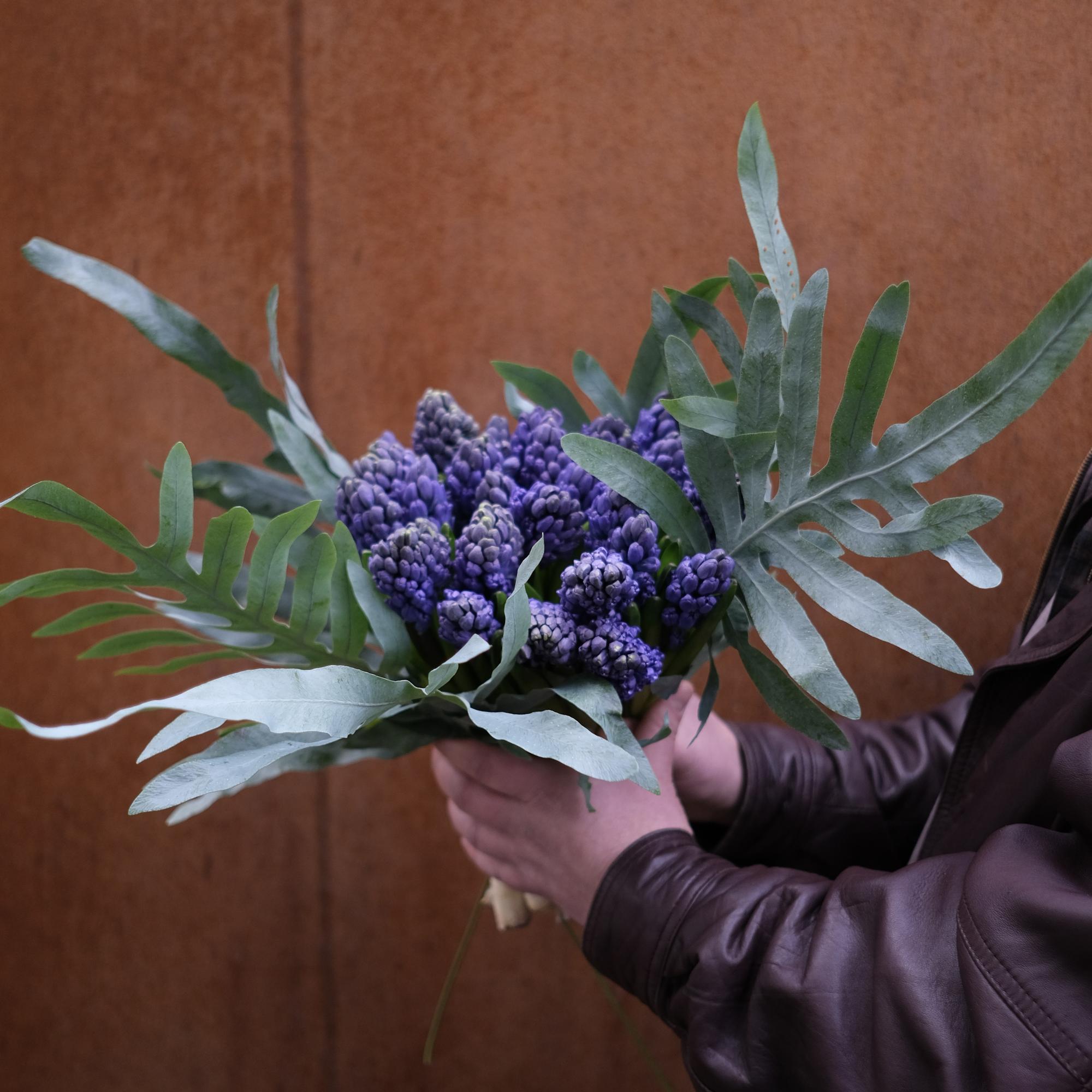 Гиацинты и папоротник