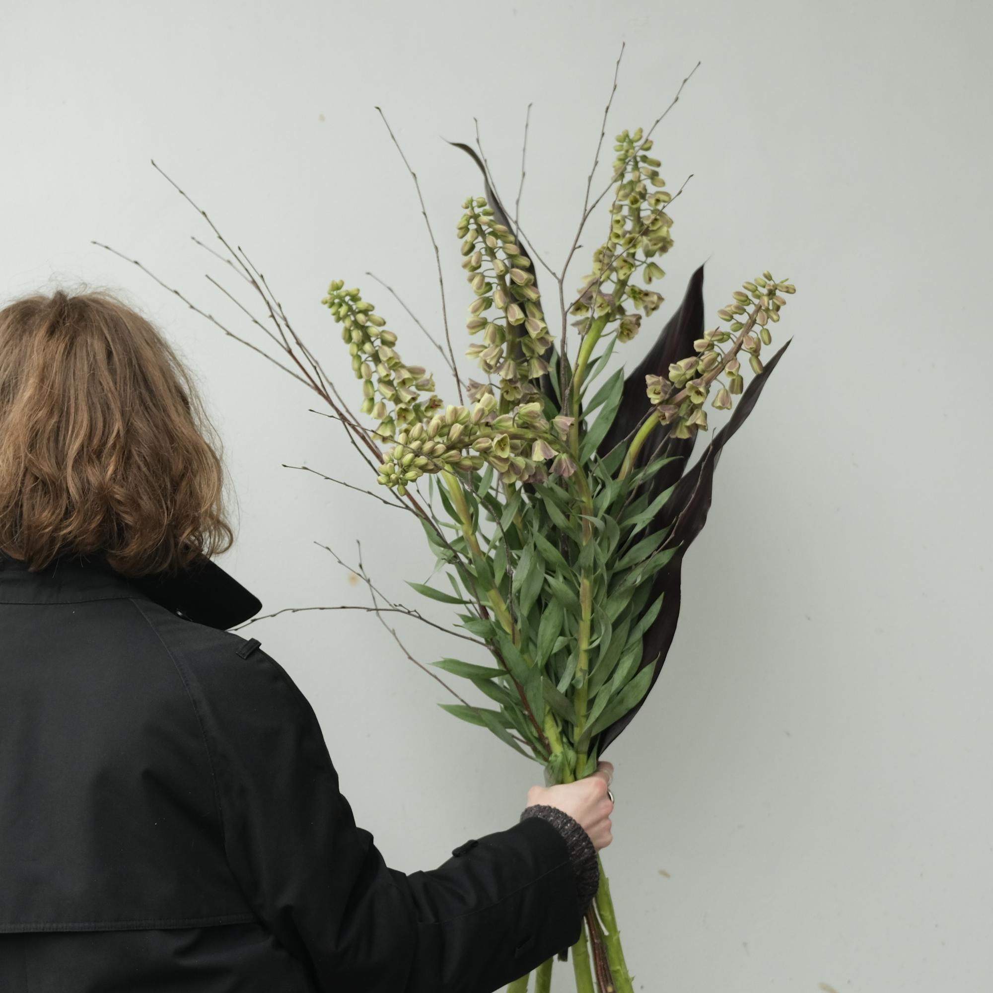 Рябчики, ветви и чёрные листья