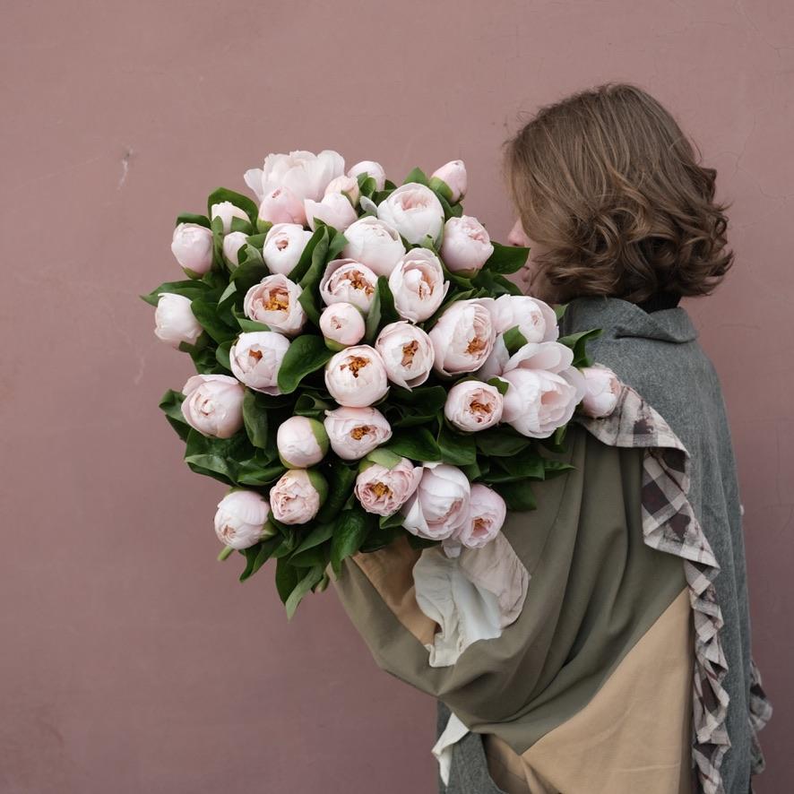 Пионы Blushing Princess