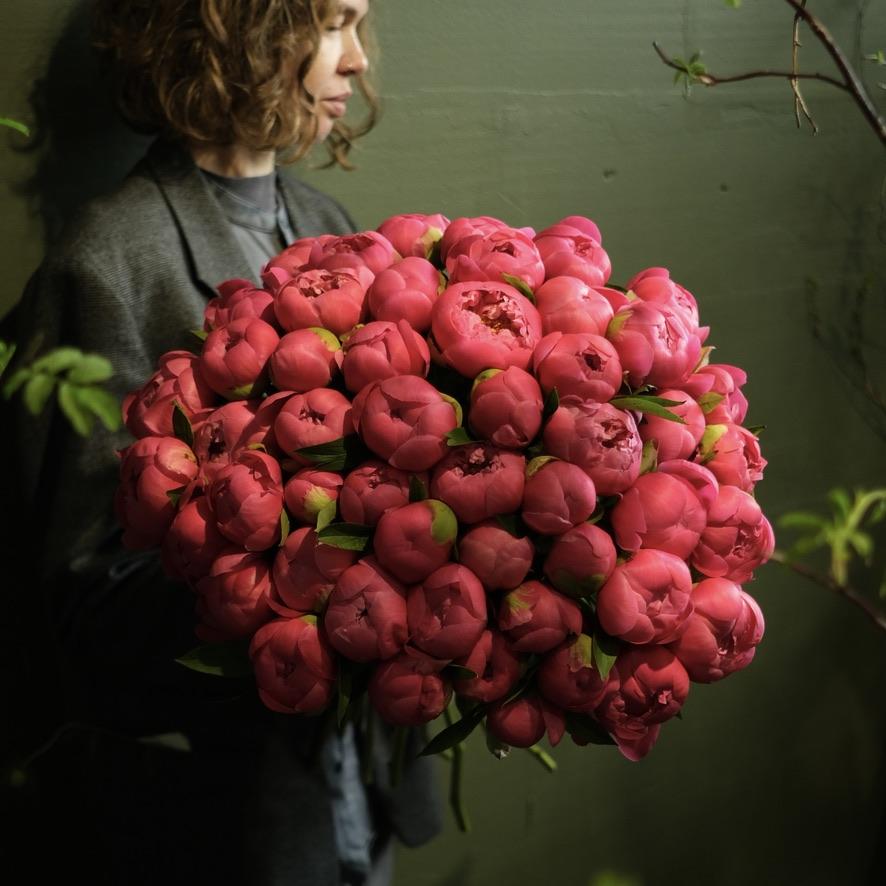 Пионы Coral Charm