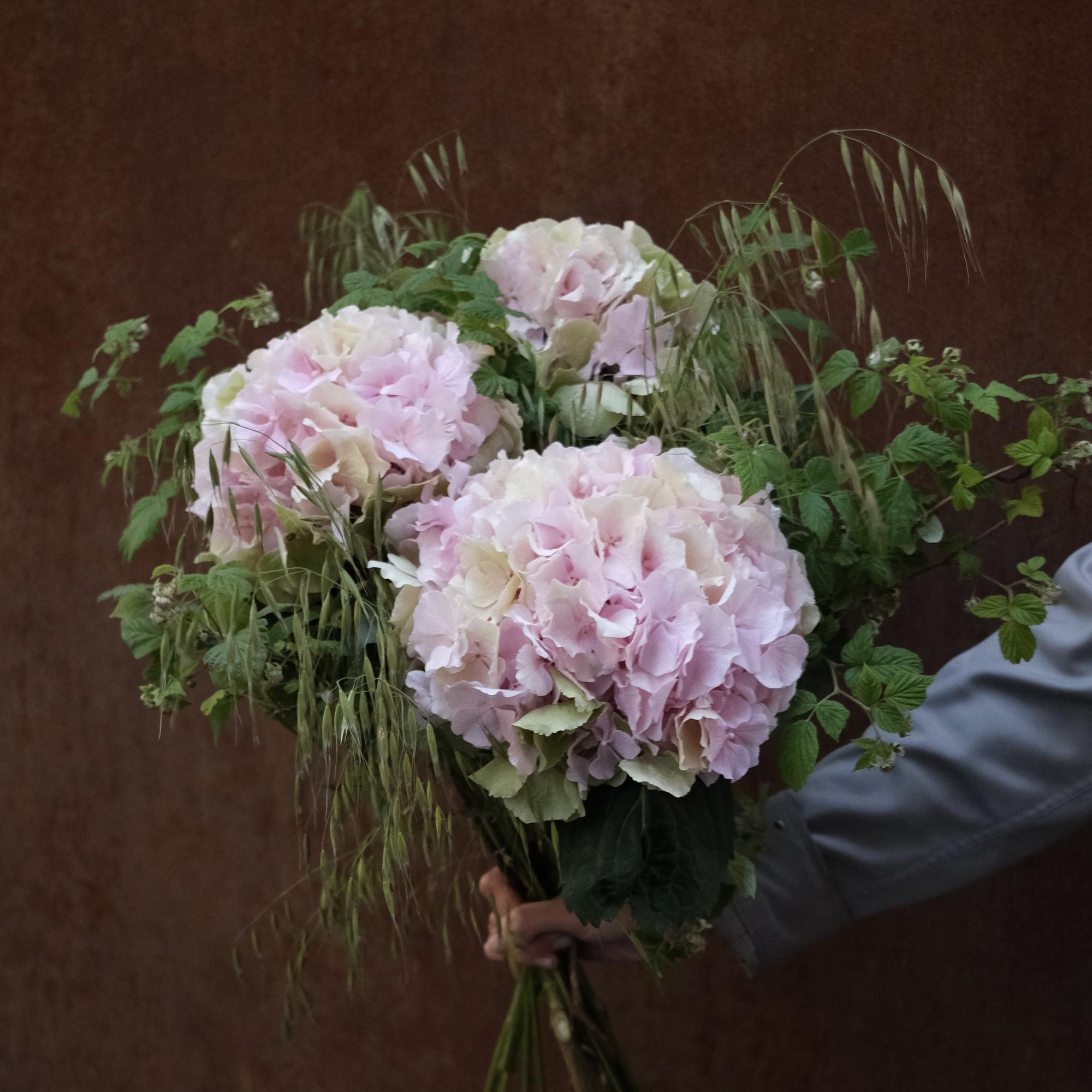 Гортензии, овёс и травы
