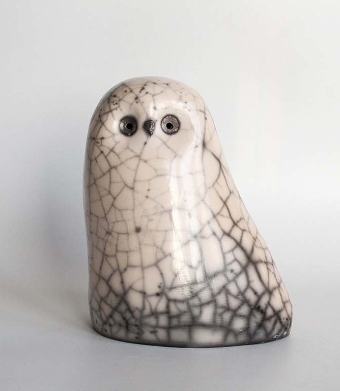 "Сова Зимняя красавица"