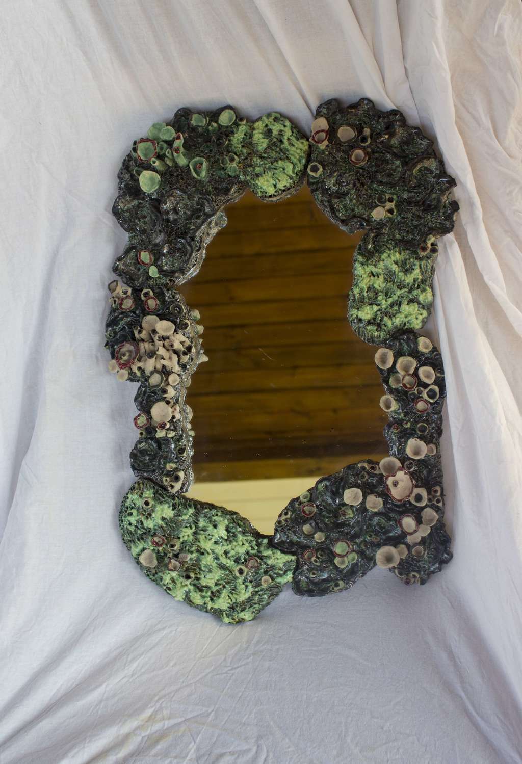 "Мхи и лишайники"