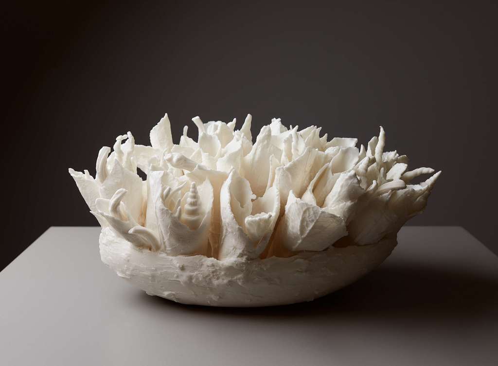 "Плантация белого"