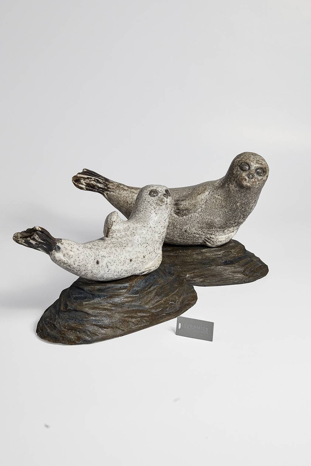 Морской котик