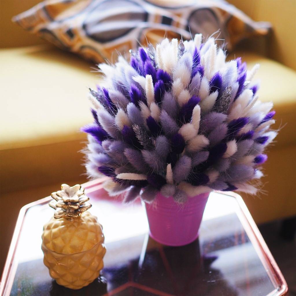 композиция с лагурусом