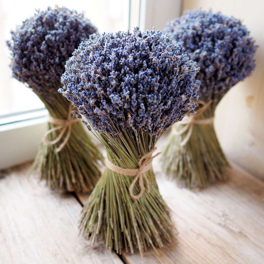 букет лаванды купить в Москве